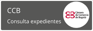 Consulta expedientes Camara de comercio